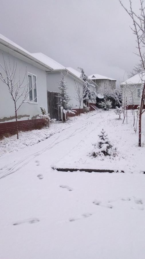 Gabala Homes Musa Exteriér fotografie